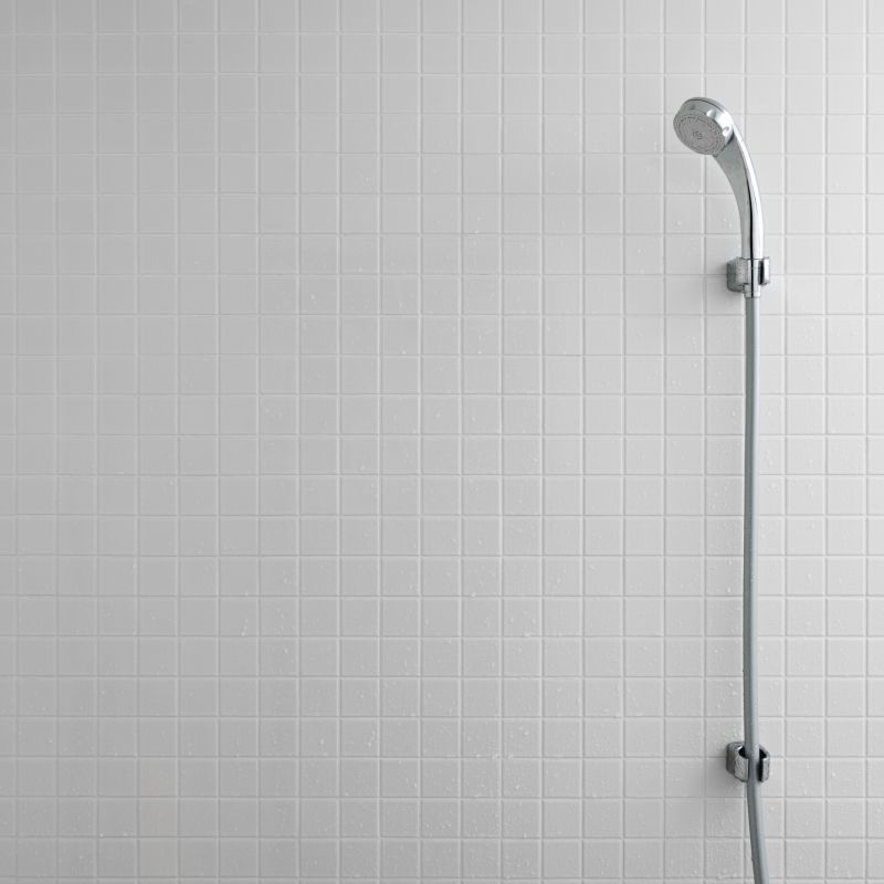Shower Renovation Projects